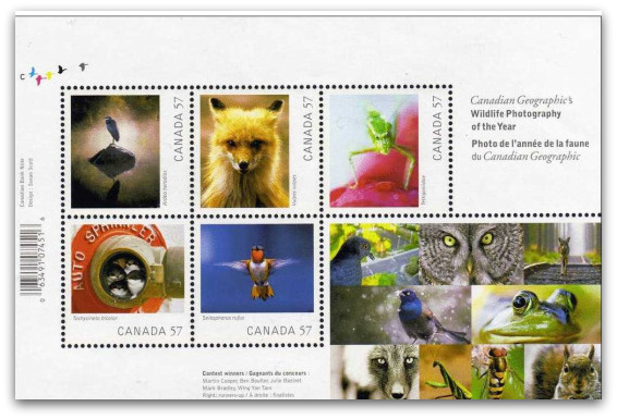 Canadian Geographic Wildlife Photography Stamps