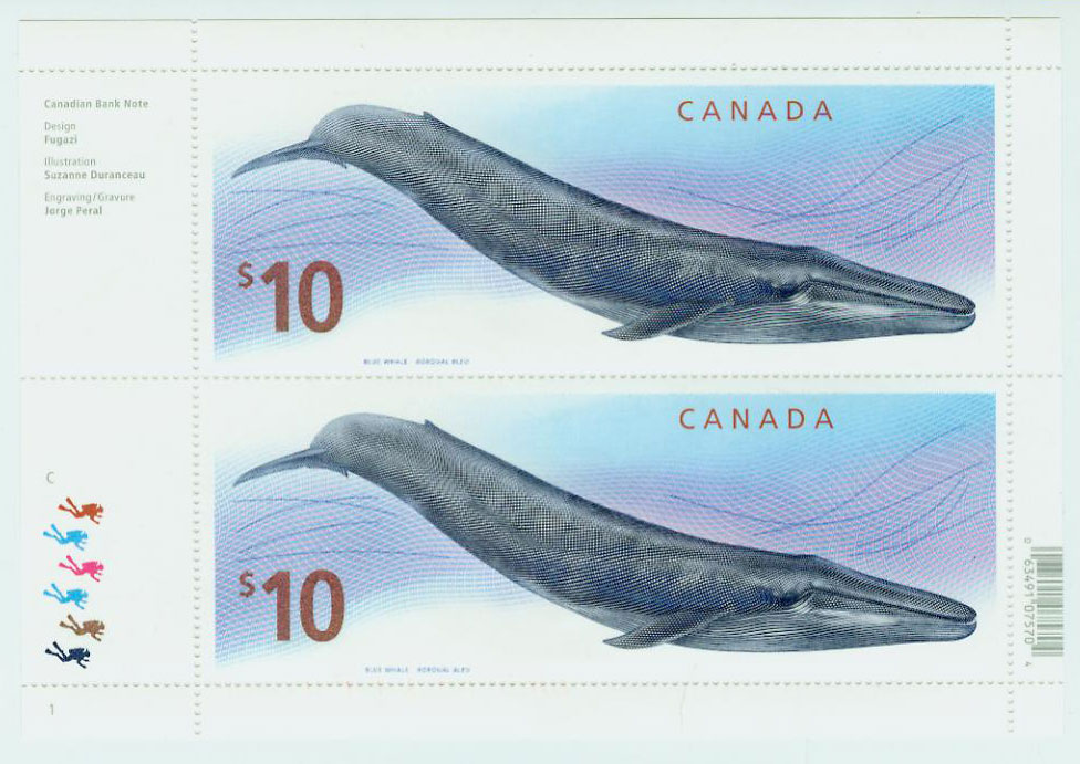 Blue Whale Rorqual Bleu $10 Canadian Stamp Baleines
