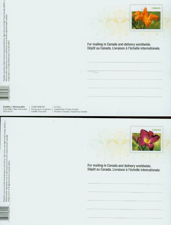 Daylilies Prepaid Postcards